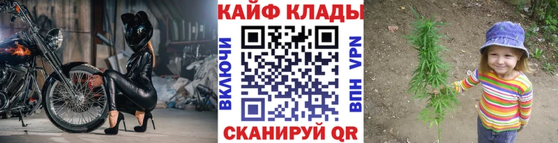 Как найти закладки Салехард Бошки Шишки  Кокаин  Alpha-PVP  Меф 
