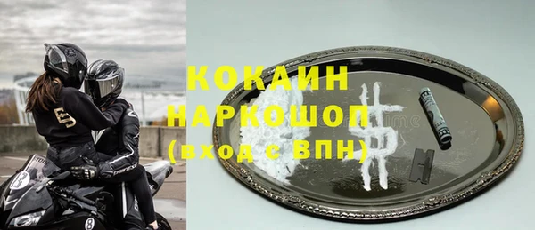 меф Ельня