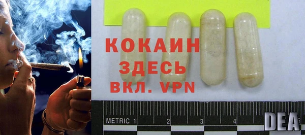 ГАЛЛЮЦИНОГЕННЫЕ ГРИБЫ Заводоуковск
