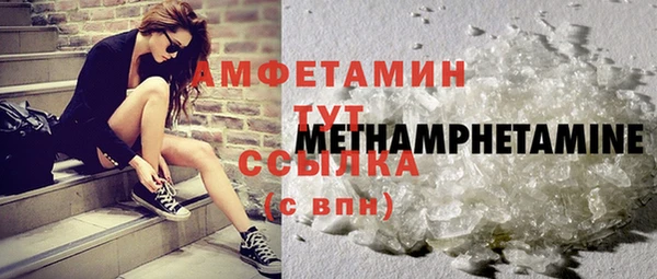 меф Ельня