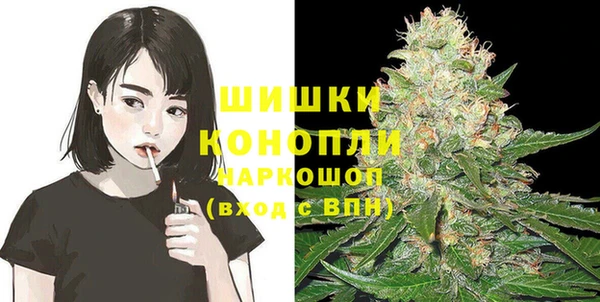 ГАЛЛЮЦИНОГЕННЫЕ ГРИБЫ Заводоуковск
