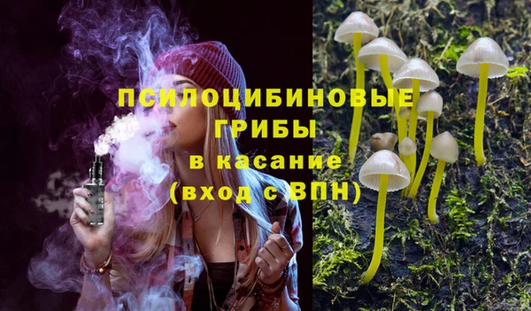 трава Заволжск