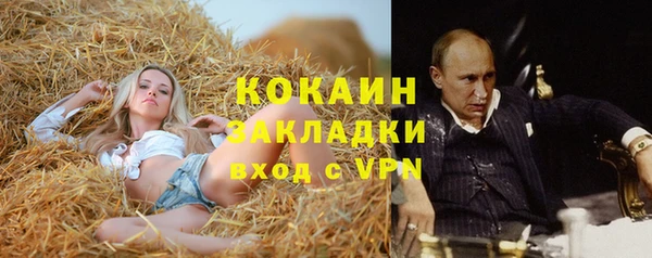ГАЛЛЮЦИНОГЕННЫЕ ГРИБЫ Заводоуковск
