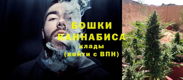 ГАЛЛЮЦИНОГЕННЫЕ ГРИБЫ Заводоуковск